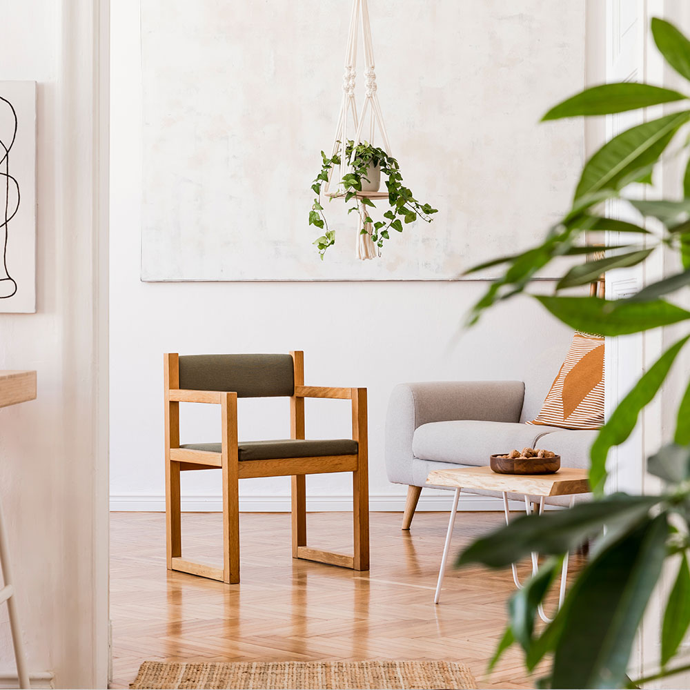 chair and couch in groom with greenery, life coaching services