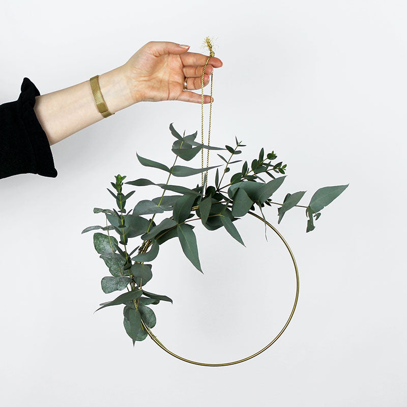 DIY resources, life coaching services